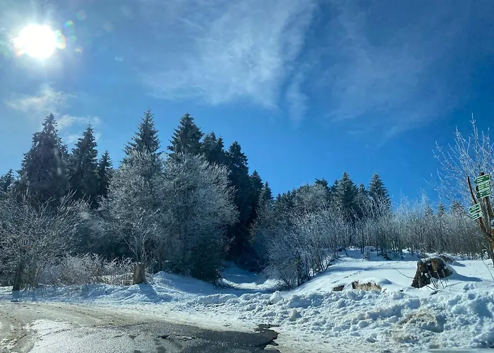 Ferienhaeuschen Gartenblick