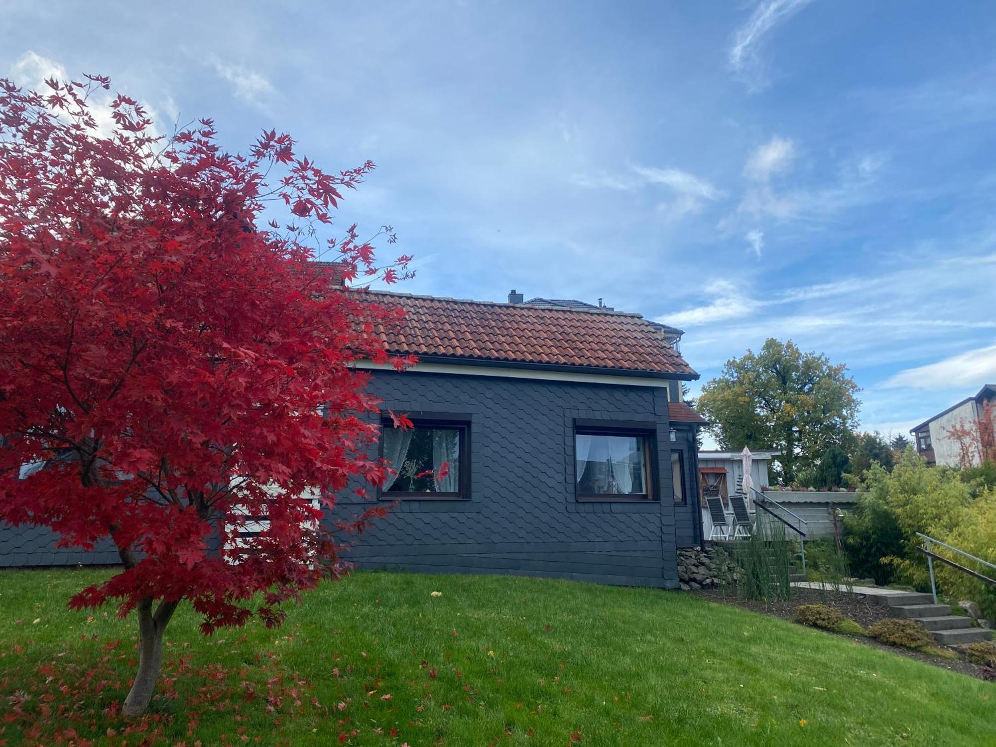 Ferienhaeuschen Gartenblick